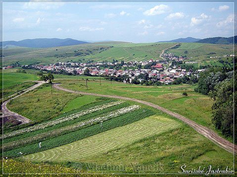 Fields Surrounding Village